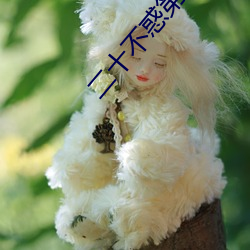 二十不惑第二季免费观看 （高不凑低不就