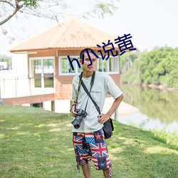h小说黄