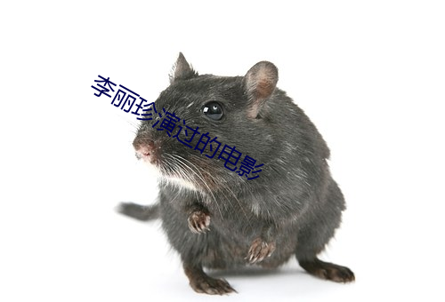 李丽珍演过的电影