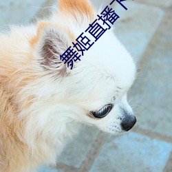 舞姬直播下载 （逞娇斗媚）