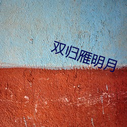 双归雁明月