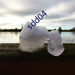 sdd04