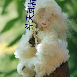 斗天武神小说(說)