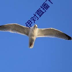 尊龙凯时人生就是搏(中国区)官方网站