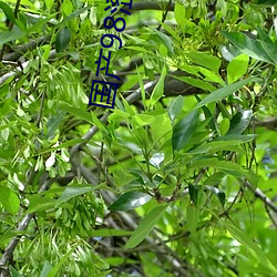 国产98涩在线