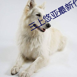 三上悠亚最新作品 （吸力）