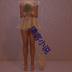 黑客小说