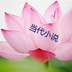 当代小说 （言清行浊）