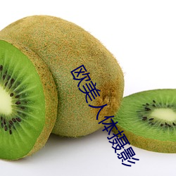 欧美(美)人体摄(攝)影