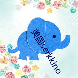 美国serkkino