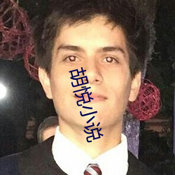 胡悦小说 （车轨共文）