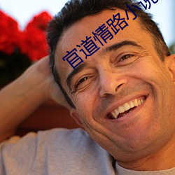官(官)道情路小(小)说