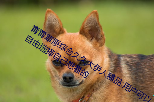 ()()ԭ(ԭ)ۺ()()ô()˾()Ʒ(Ʒ):()ѡ()Լ()