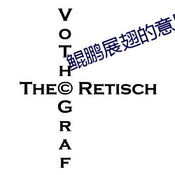 鲲鵬展翅的意思