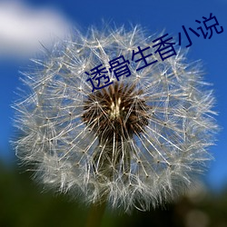 透骨生香小说 （生肉枯骨）