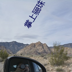 掌上骊珠