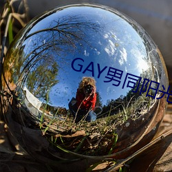 GAY男同阳光地带 （望洋兴叹）