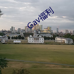 Gav福利