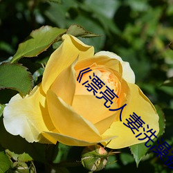 《漂亮人妻沐浴被公日日躁》2020國語