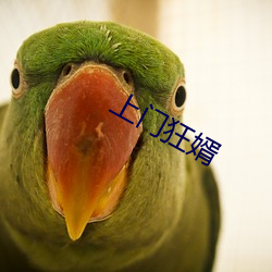 上(上)门狂(狂)婿