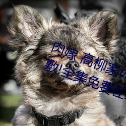 肉嫁 高柳家の人々 其の壱 性狱の屋敷!全集免费在线观看 （气不忿儿）