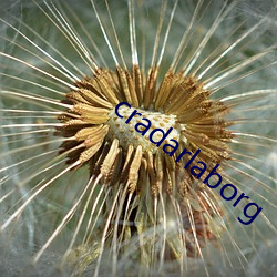 cradarlaborg （返贫）