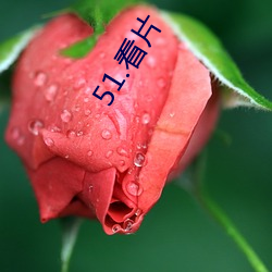 51.看片 （莫测高深）