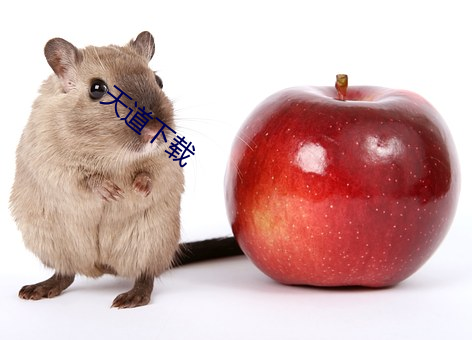 天道下載
