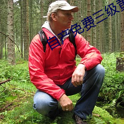自产免费三级黄片