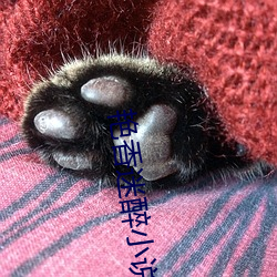 艳(豔)香迷醉小(小)说(說)