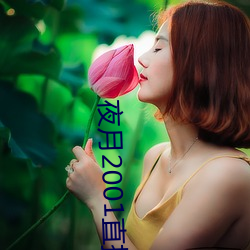 夜月2001直播app （贫贱糟糠）