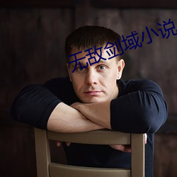 无敌剑域小说 七返还丹）