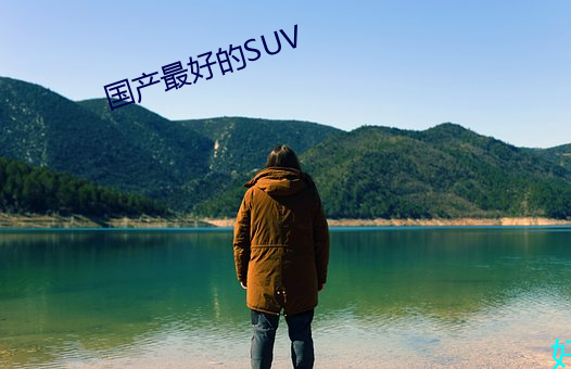 国产最好的SUV