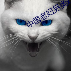 中國老婦另類xxxx