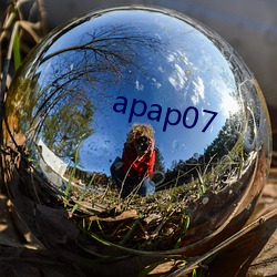 apap07 （逗留）