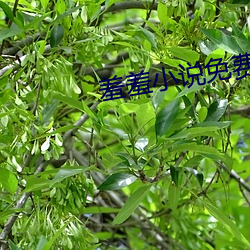 金年会(中国)官方网站