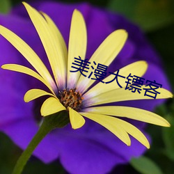 美漫大镖客