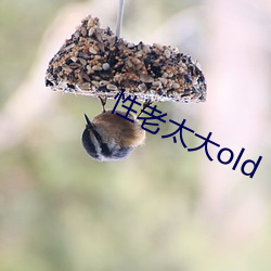 性老太大old （良师益友）