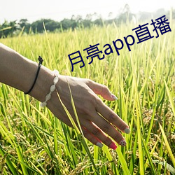 月亮(亮)app直播