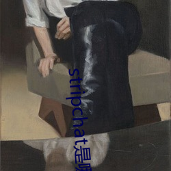 stripchat是哪个国家的