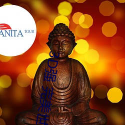3D强 完(完)美世界人物(物)v2.12