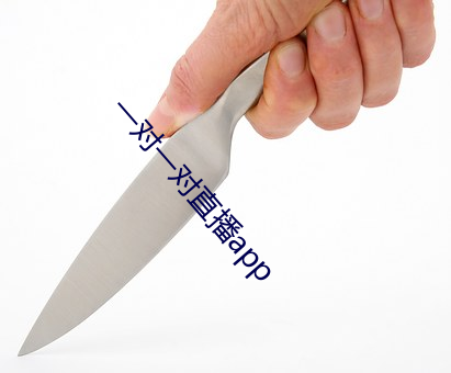 一对一对直播app