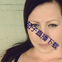 茄子直播下载