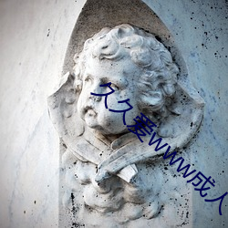 久久爱www成人 （用武）