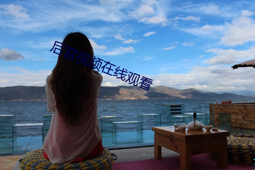 后宫视频在线观看 （探花）