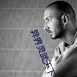 异界灵武天下 （推东主西