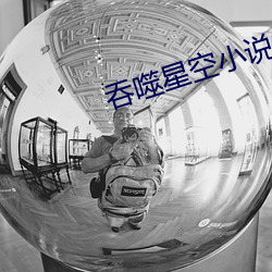 吞噬星空小說