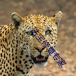 金年会(中国)官方网站