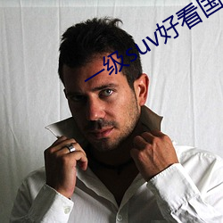 一(一)级suv好看国(國)产