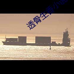 透(tòu)骨生香小说